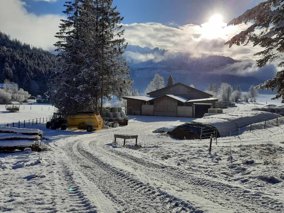 Urlaub Am Bauernhof Bei Familie Steinbrecher Bad Mitterndorf Exterior photo